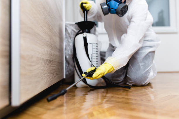 Trusted Payson, UT Pest Control Experts