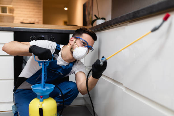 Pest Control for Restaurants in Payson, UT