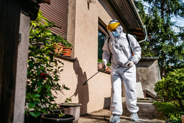 Best Commercial Pest Control Services  in Payson, UT