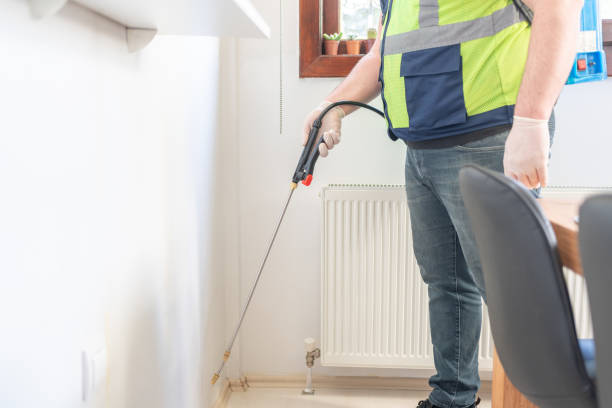 Wasp Removal Services in Payson, UT