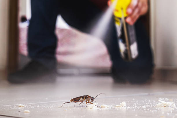 Best Exterminator Services  in Payson, UT