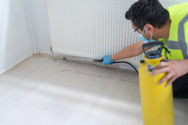 Best Affordable Pest Control Services  in Payson, UT