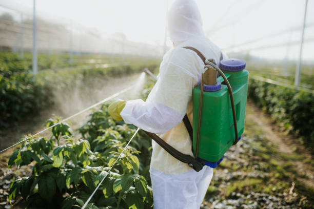 Best Pest Control for Restaurants  in Payson, UT